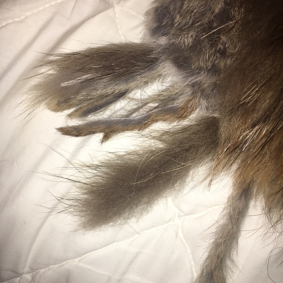 Jacket - Picture 3 of 5